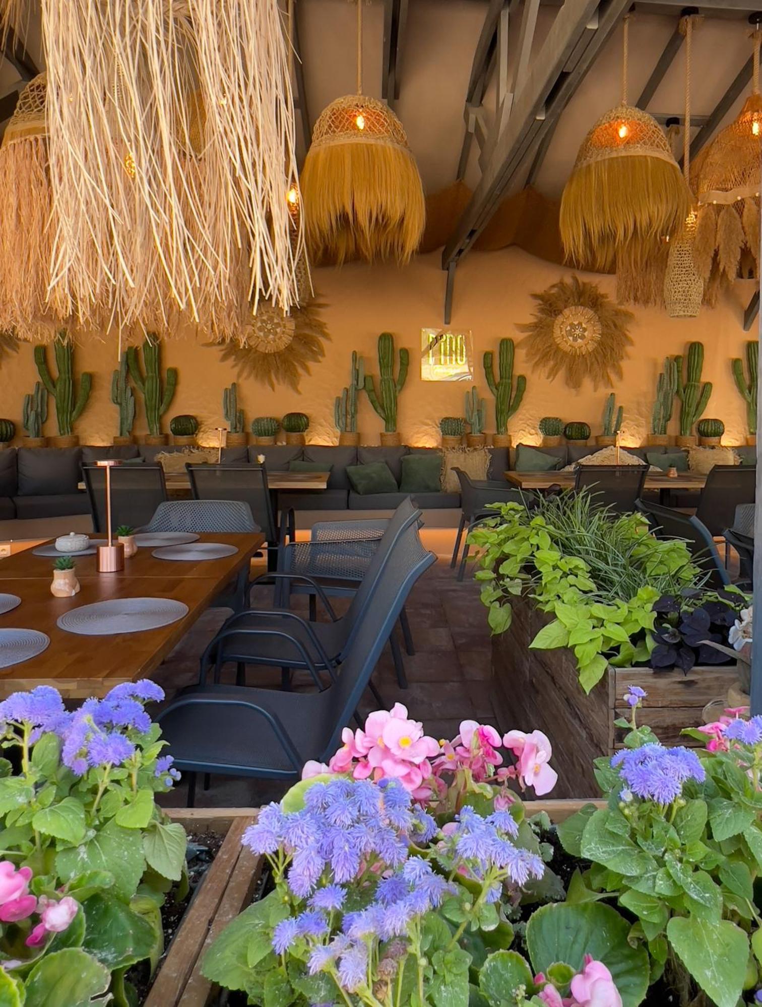 Pino - Villa, Casa, Cucina Е Terrazza البينا المظهر الخارجي الصورة